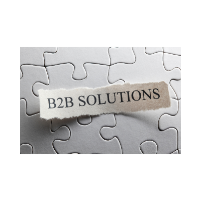 B2B GST database management software